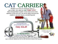 cat carry.webp