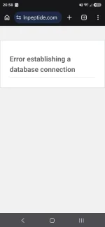 Screenshot_20260625_205828_Chrome.webp