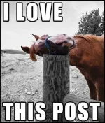 lovepost.webp