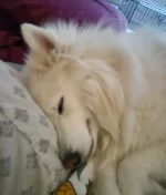 20260625_045443.webp