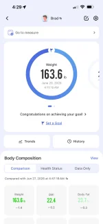 Scale.webp