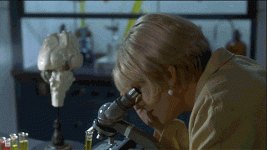 IMG_1932.gif