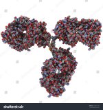 stock-photo-monoclonal-antibody-immunoglobulin-g-igg-a-mab-molecule-chemical-structure-most-cu...jpg