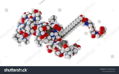 stock-photo-tirzepatide-molecule-mounjaro-molecular-structure-isolated-d-model-van-der-waals-...webp