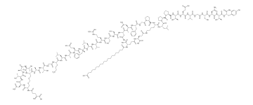 22.webp