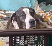 IMG_7513.jpeg