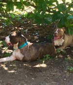 IMG_0334.jpeg
