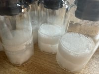 IMG_1735.jpeg