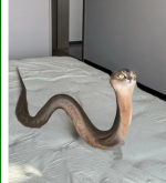 1750711887939.png