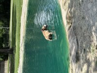 IMG_2474.jpeg