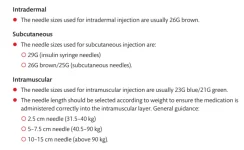 NEEDLE-SIZE.png NEEDLE-SIZE.png