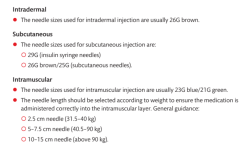NEEDLE-SIZE.png