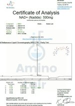 NAD+ 600mg COA.jpg