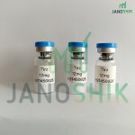t12 2.jpg