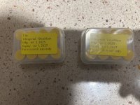 IMG_2925.jpeg