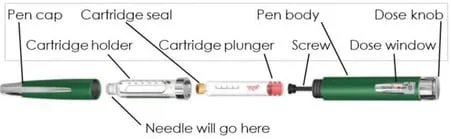 injection pen.jpg injection pen.jpg