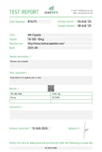 BT10.webp