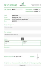RT10.webp
