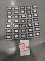 IMG_0176.jpeg