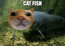 1761060157477.png
