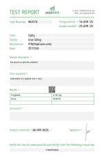 T60.webp