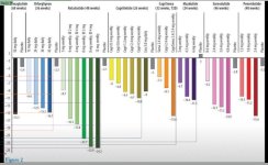 comparison.upto48wks.jpg comparison.upto48wks.jpg