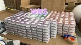 WBS PC.webp