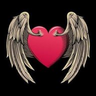 flyingheart4