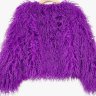 PurpleCatFur
