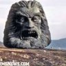 MrZardoz