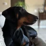 Mamasoypaquito