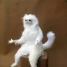 Cut2alpha