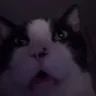 Wacky