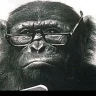 Smartmonkey82