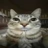 leo_123