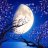 MoonWillow