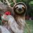 ResearchSloth78