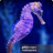 Seahorse