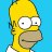 Homer
