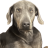 Luciegal01