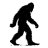 Sasquatch
