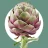 Artichoke