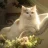 wittykitty321