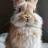 FluffyBunny333