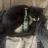 docka