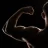 copepmuscle