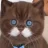 Dame-Felidae