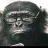 Smartmonkey82