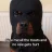 Bosbefok