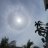 Sun_Seeker